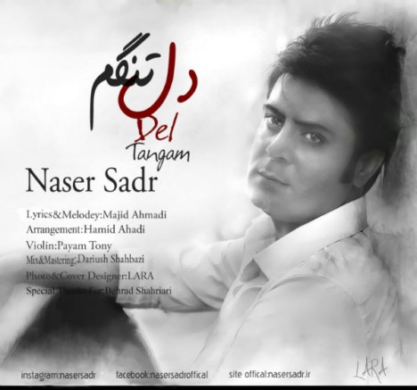 دانلود آهنگ جدید و فوق العاده زیبای ناصر صدر به نام دلتنگم
